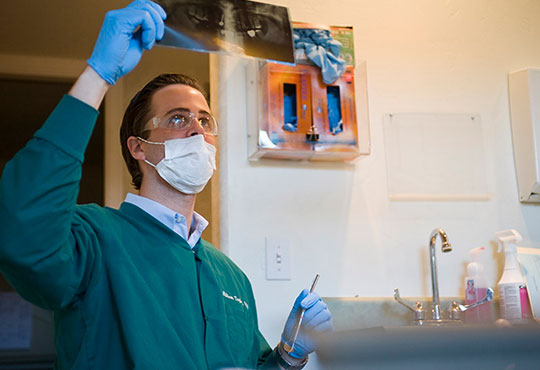 Dentist examining x-ray