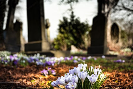 Grave yard with flowers 